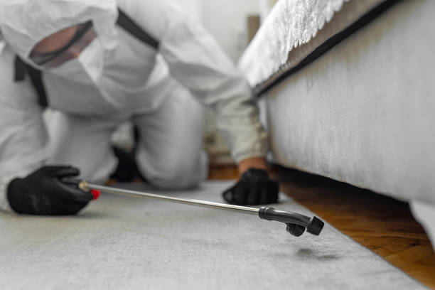 Professional Bed Bug Control technician working in Rio Grande County County, CO